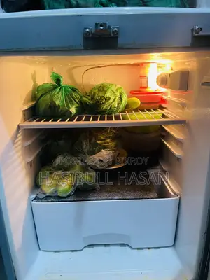 ওয়ালটন ফ্রিজার