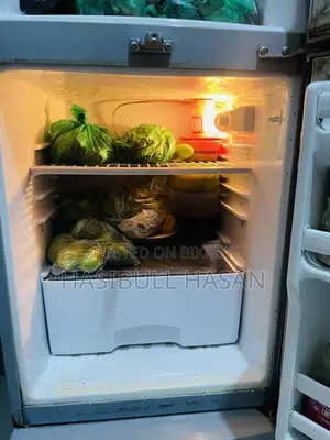 ওয়ালটন ফ্রিজার