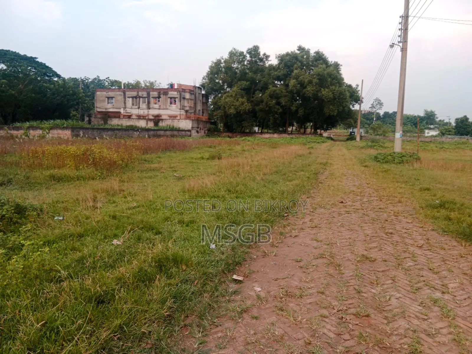 প্রাইম লোকেশন | দক্ষিণমুখী | ২৫ ফুট রাস্তা | মসজিদের সামনে