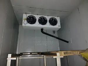 একটি সিএনজি স্টেশন ও স্পেশালাইজড কোল্ডস্টোরেজ বিক্রয় হবে।