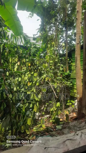 হোন্ডা লিভো ২০১৮ ব্ল্যাক