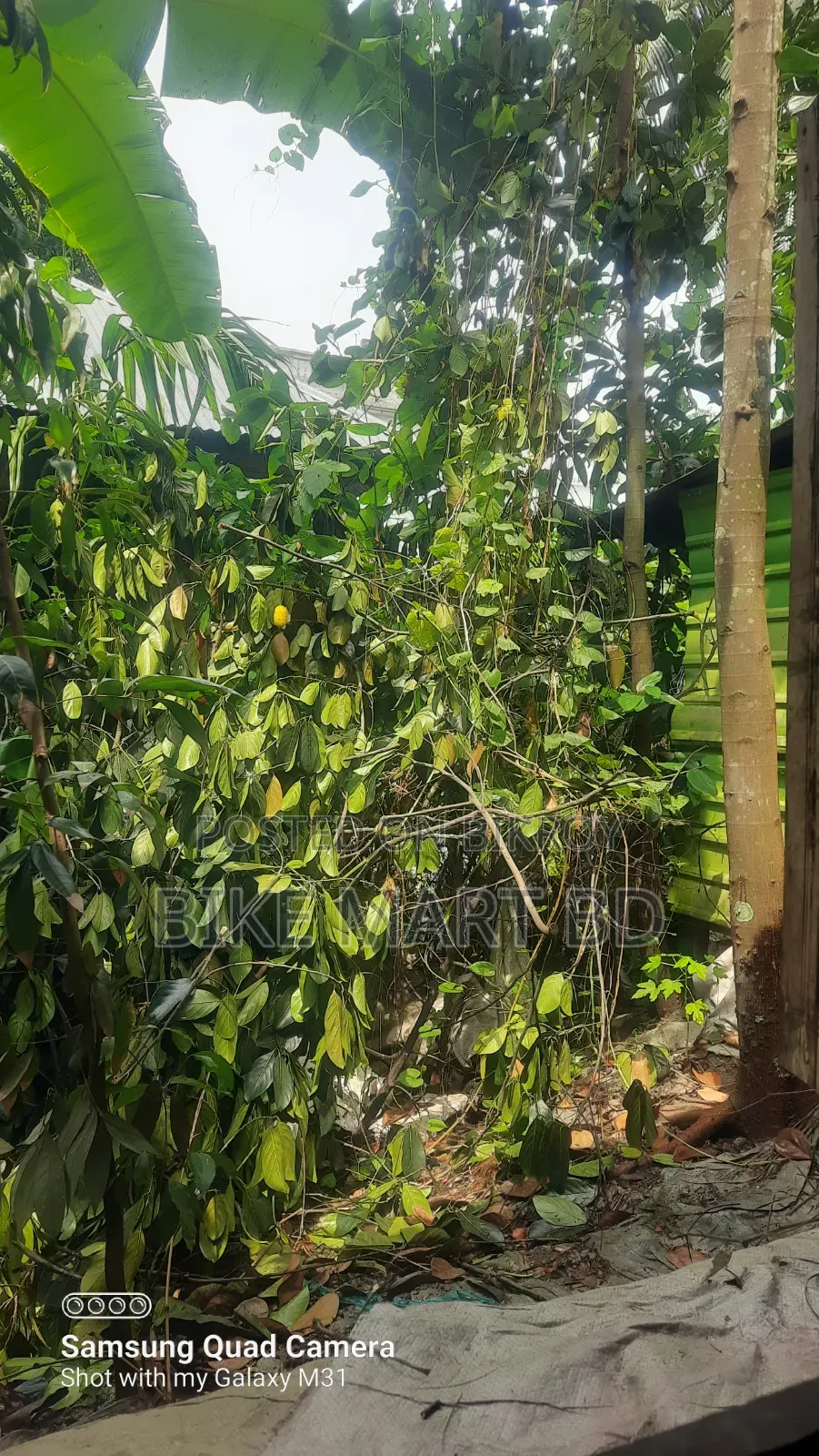 হোন্ডা লিভো ২০১৮ ব্ল্যাক