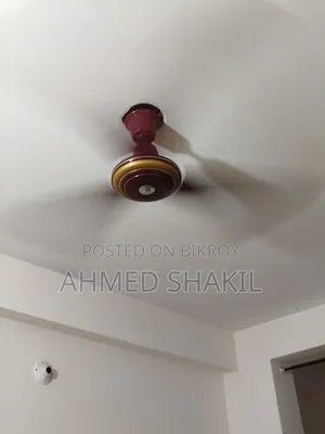 Sakura Fan
