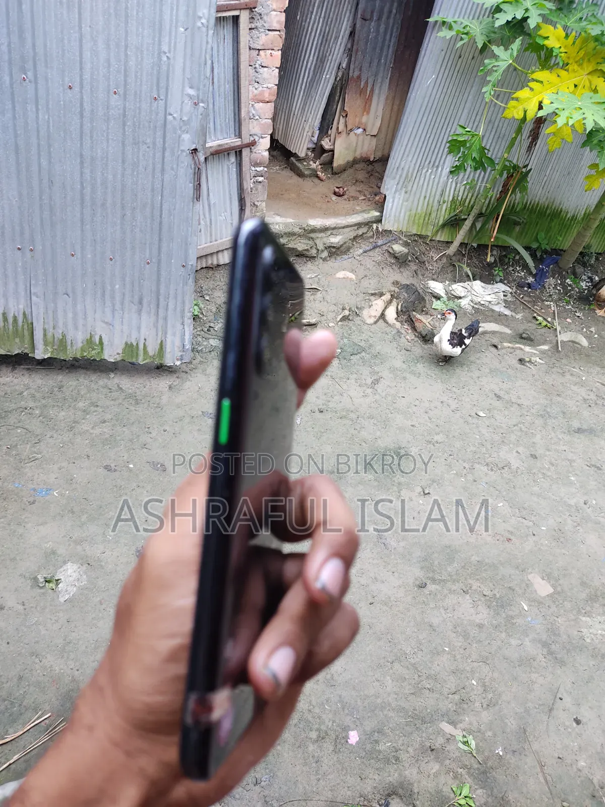Oppo Reno 12 5G 256 GB Black