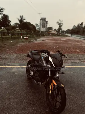 Bajaj Pulsar NS 160 2017 Gray
