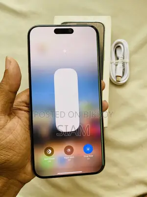অ্যাপল আইফোন ১৫ প্রো ম্যাক্স ২৫৬ জিবি সিলভার