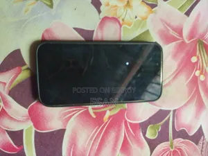 অ্যাপল আইফোন ১৩ প্রো ১২৮ জিবি রোজ গোল্ড
