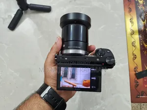 Sony Crop Nex 5r