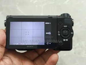 Sony Crop Nex 5r
