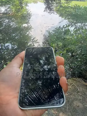 অ্যাপল আইফোন ১২ ১২৮ জিবি সবুজ