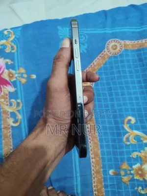 অ্যাপল আইফোন ১২ প্রো ম্যাক্স ১২৮ জিবি গ্রিন