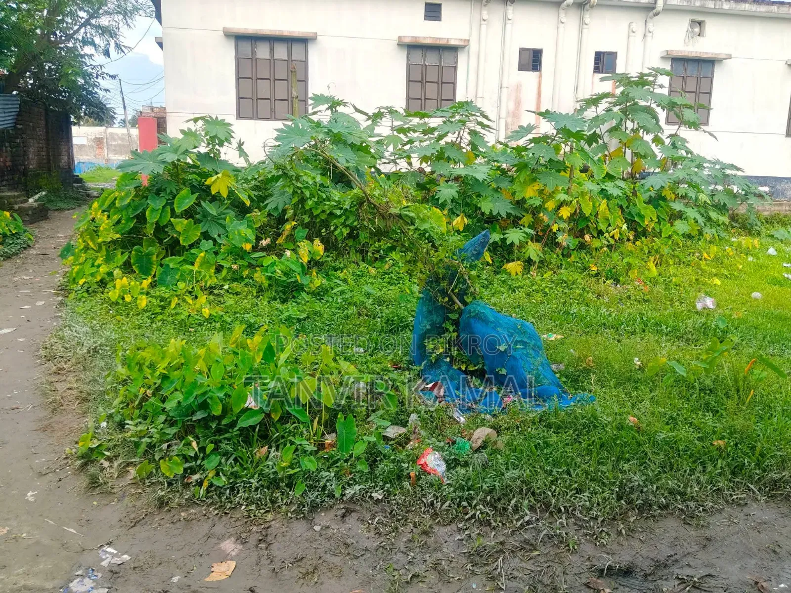 Land for sell