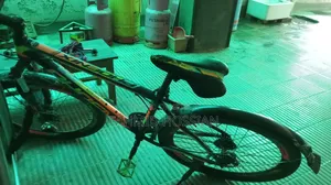 ফিনিক্স সাইকেল