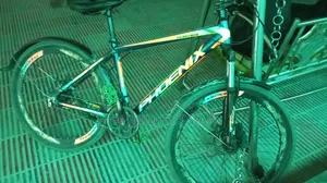 Phoenix Cycle
