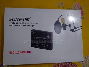 Singing Microphone Setup