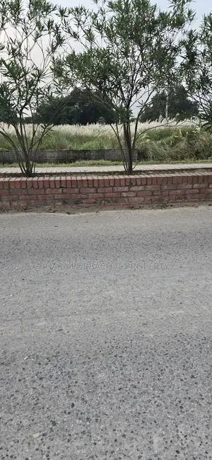 Rajuk Purbachal Sector-5 East Facing Plot