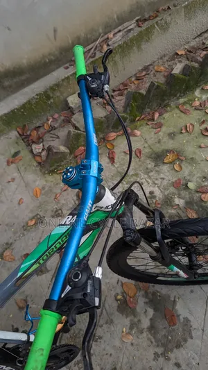 Phoenix Full Fresh Condition Modified Cycle