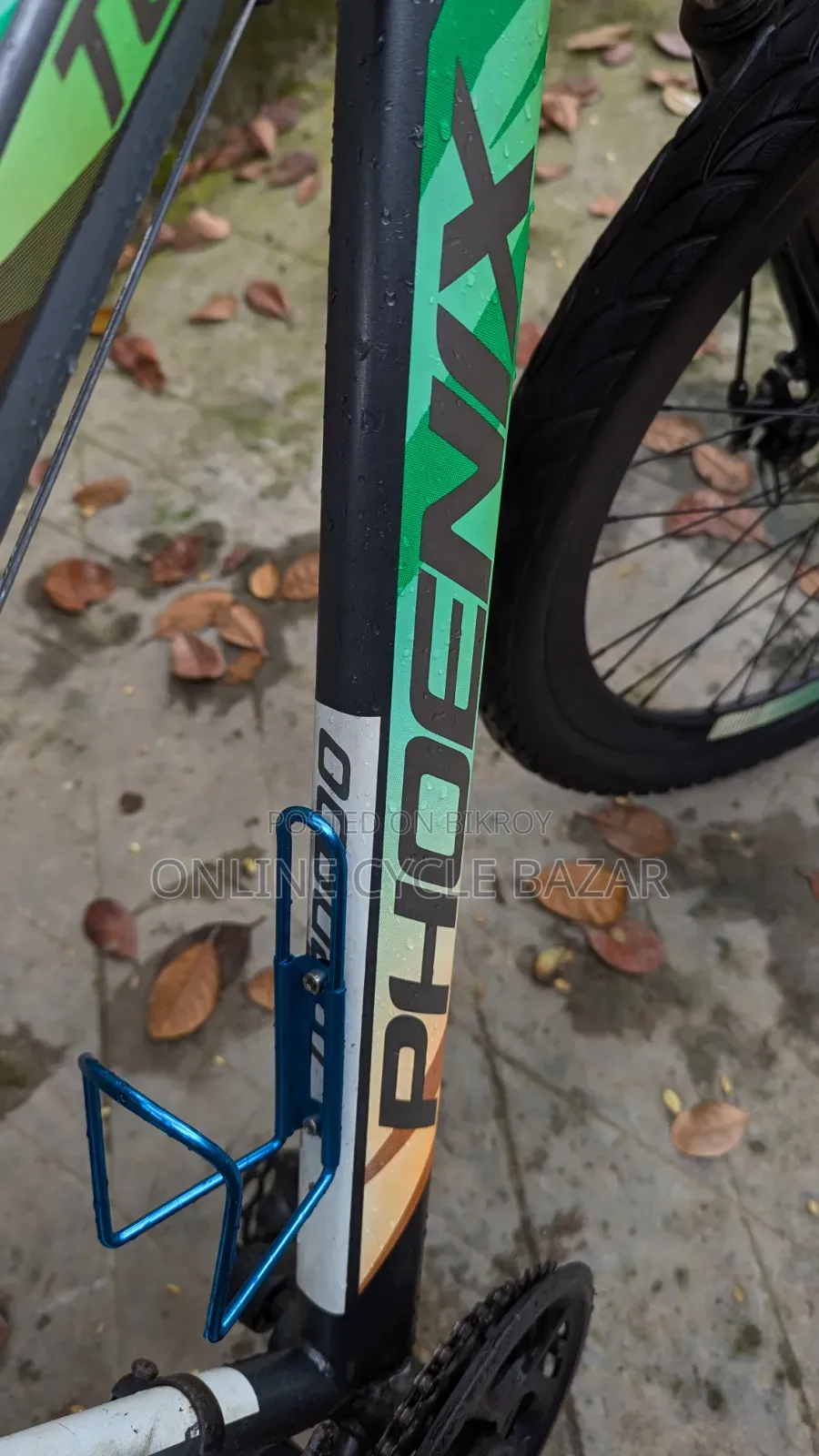Phoenix Full Fresh Condition Modified Cycle