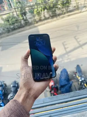 অ্যাপল আইফোন ১৩ প্রো ২৫৬ জিবি সিলভার