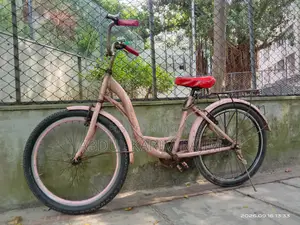 মেয়েদের সাইকেল (২৪সাইজ/বড়দের)