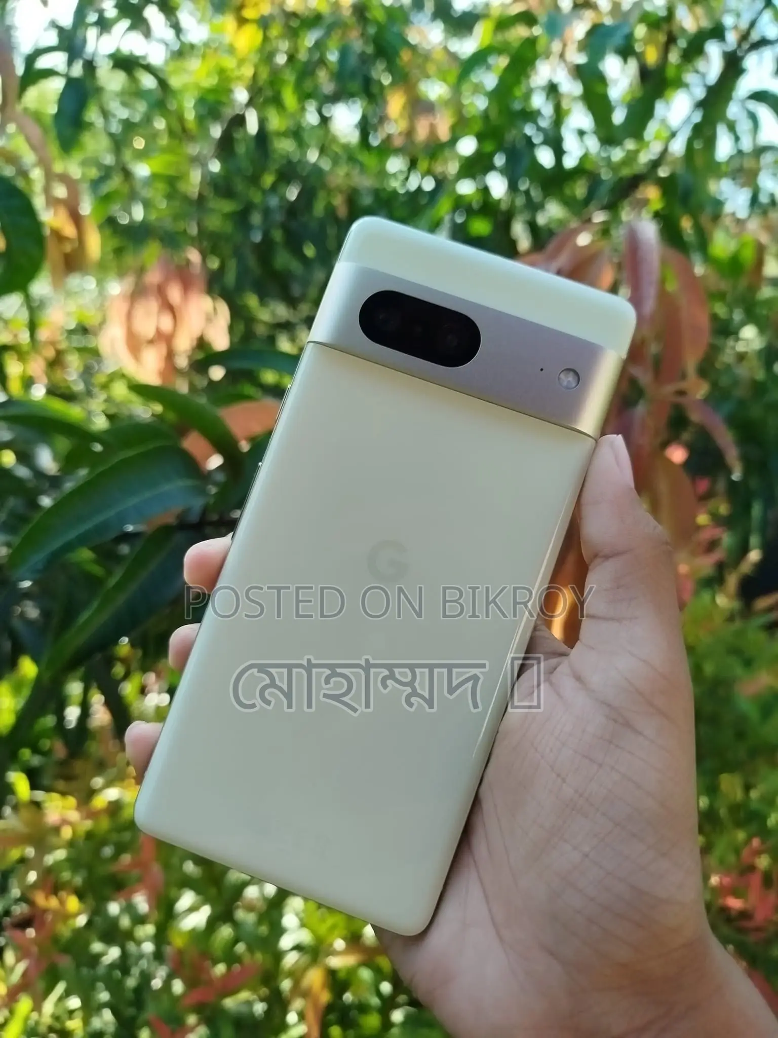 গুগল পিক্সেল ৭ ১২৮ জিবি
