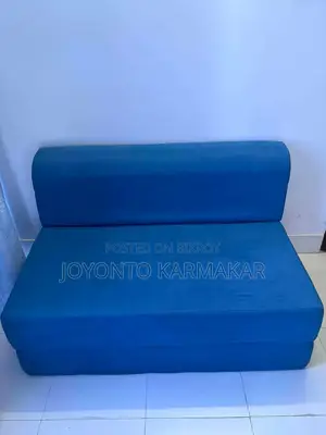 Regal Sofa Cum Bed Semi Double