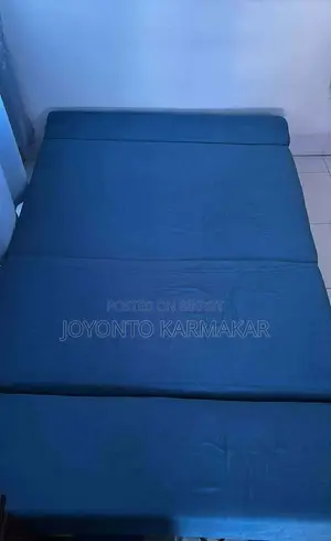Regal Sofa Cum Bed Semi Double
