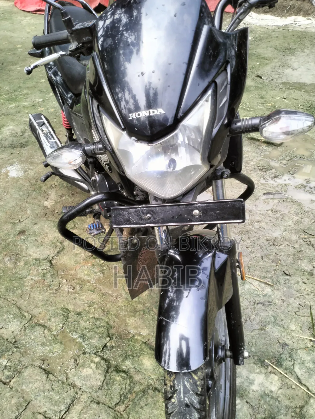 Honda Livo 2018 Black