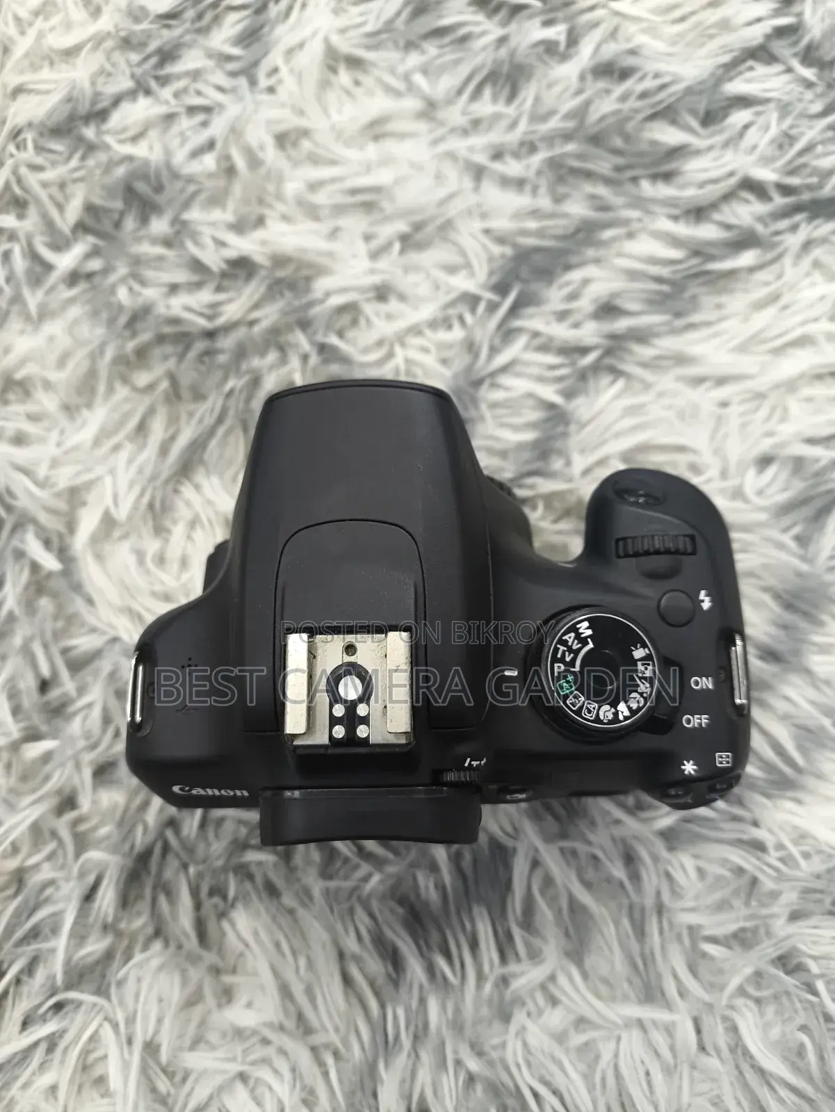 Canon 1200D Only