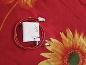 Redmi 120W Charger
