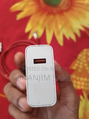 Redmi 120W Charger