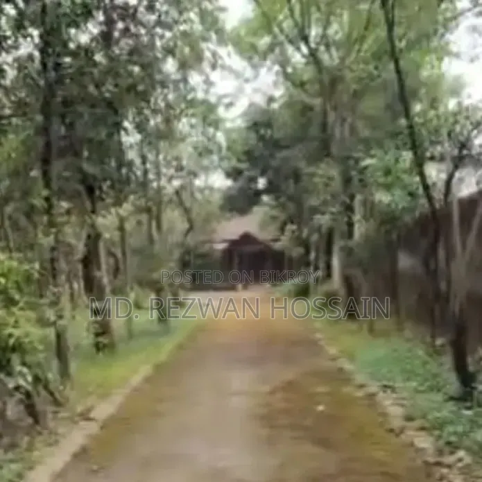 Land for Sell