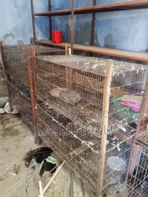 Old Cage 18" 36"