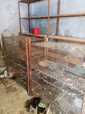 Old Cage 18" 36"