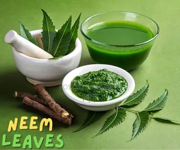Fresh Neem Leaves