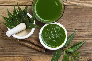 ফ্রেশ নিম পাতা Neem