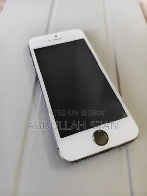 Apple iPhone 5s 32 GB Gray