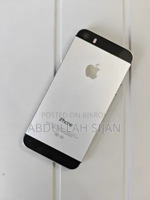 Apple iPhone 5s 32 GB Gray