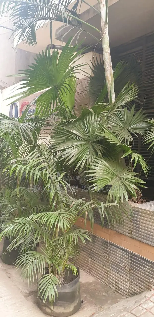 রূপনগর আর/এ, মিরপুর-এ ২ বেডরুমের অ্যাপার্টমেন্ট বিক্রয়