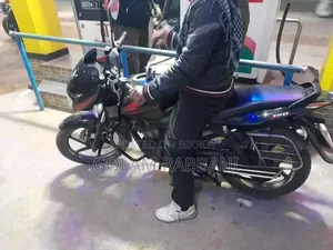 Bajaj Pulsar 150 2007 Black