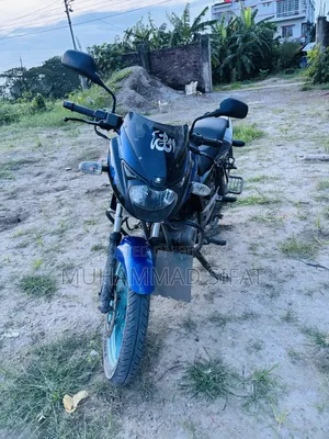 Bajaj Pulsar 150 2013 Blue