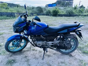 Bajaj Pulsar 150 2013 Blue