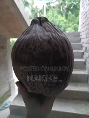 প্রতি পিস নারিকেল ৯০ টাকা