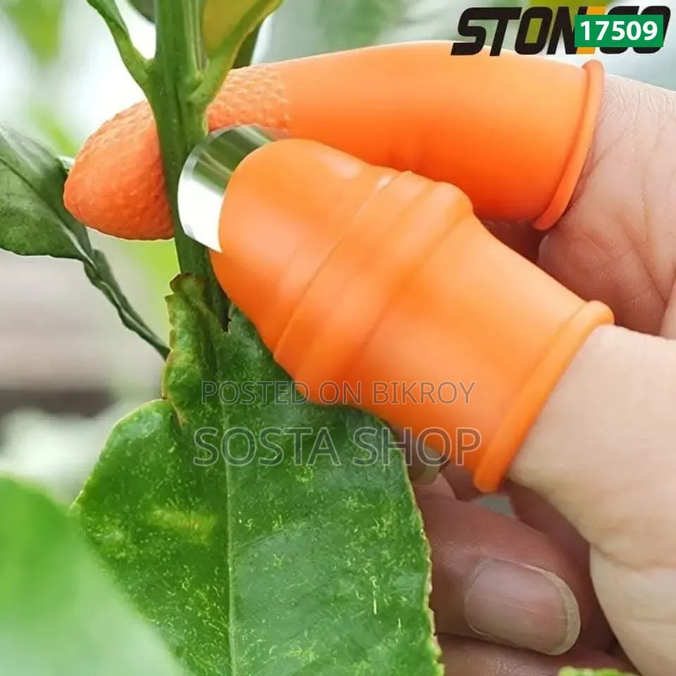 Silicone Finger Protector for Vegetables and Fruits Cutting (5 Pcs)