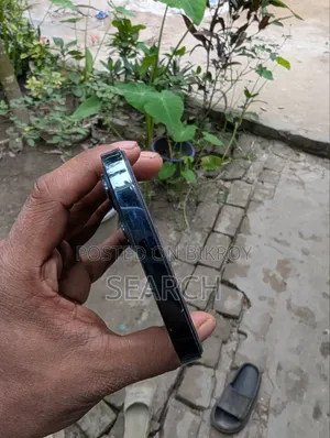 অ্যাপল আইফোন ১২ প্রো ম্যাক্স ১২৮ জিবি ব্লু