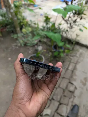 অ্যাপল আইফোন ১২ প্রো ম্যাক্স ১২৮ জিবি ব্লু