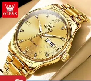 OLEVS 5563 গোল্ডেন মেনস ওয়াচ