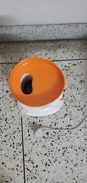 Electric Juicer