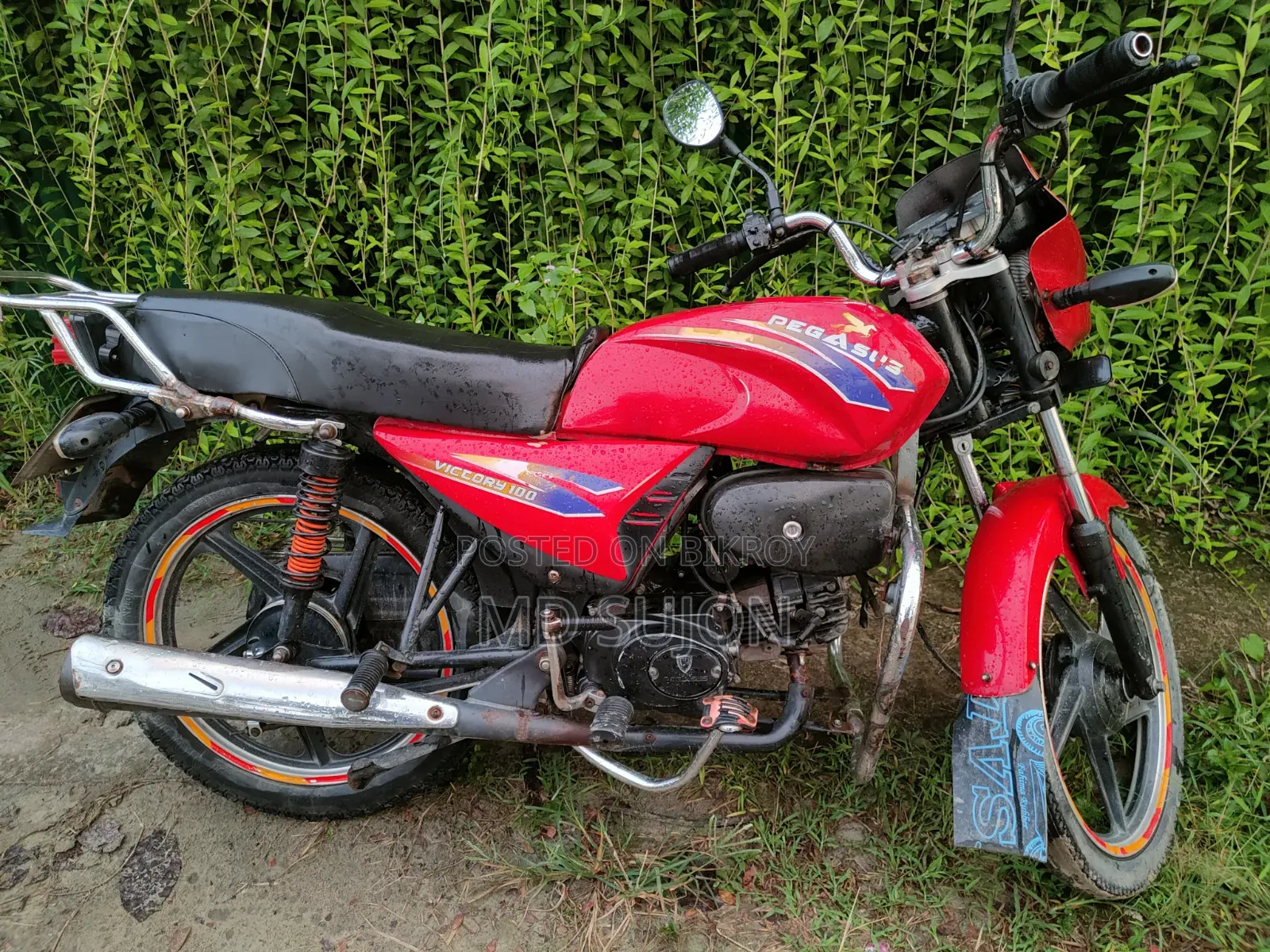 Pegasus Victory 100 2023 Red