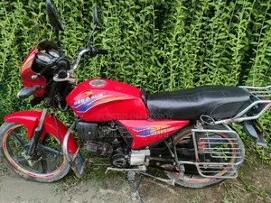 Pegasus Victory 100 2023 Red